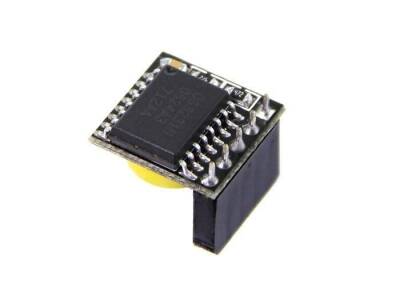NetRelay NRRTC Netrelay ve Raspberry Pi RTC Modülü (Pil Dahil) ürün görseli 3 - wifidepo